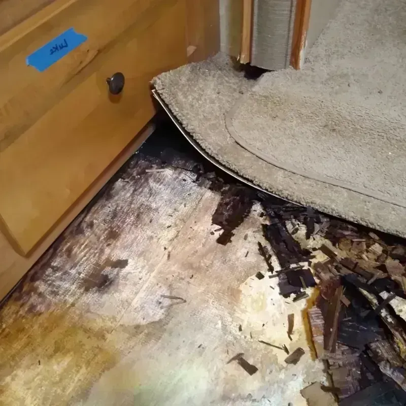 Best Wood Floor Water Damage Service in Grosse Pointe, MI